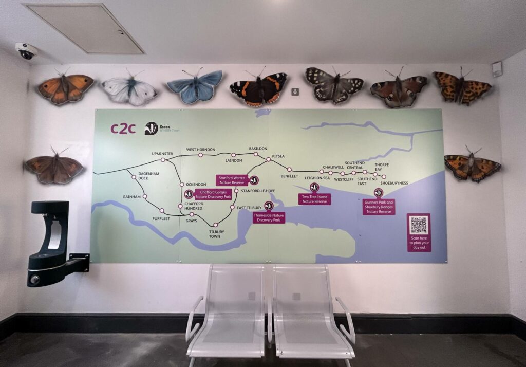  64f0611caa7ad 64f0611caa7aec2c Essex Wildlife Trust Mural Thorpe Bay.jpg