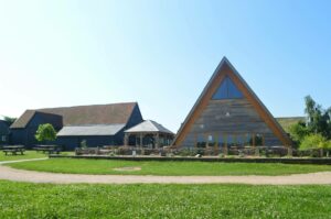 6501e454bbce2 6501e454bbce3thames Chase Forest Centre Summer (2).jpg